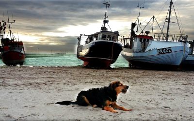 Copyright - Foto: Ole Kjær - Tlf. +45 42756840
Både på Løkken strand